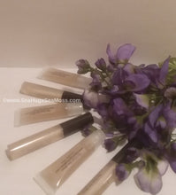 Load image into Gallery viewer, Sea Hugs Sea Moss Lip Gloss Starter Kit